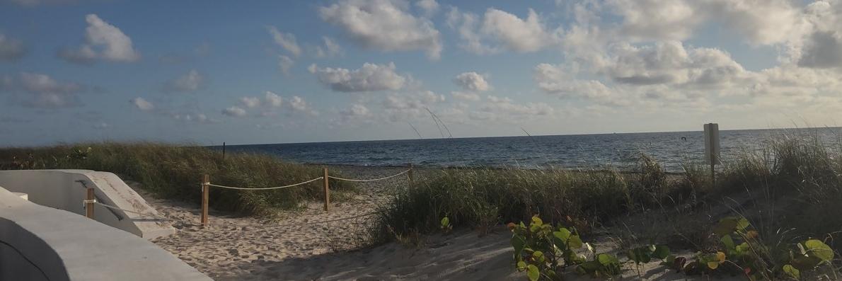 olivia_berter's profile banner image