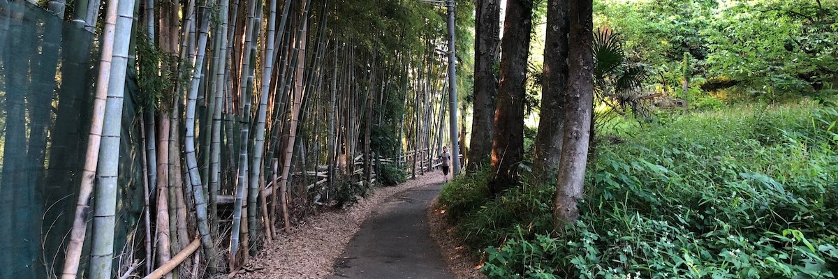 CyclingEX's profile banner image