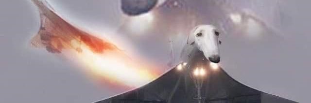 mwlerm's profile banner image