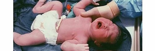 FLOTUSPHiNA's profile banner image