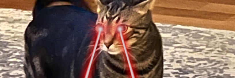 Rejekts banner