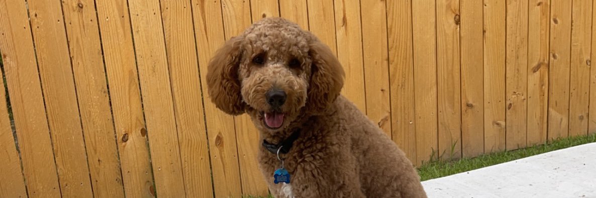 KerryⓂ️oore banner