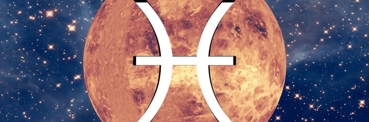 VibrancyCo_'s profile banner image