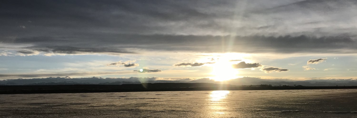 SalDamico2's profile banner image