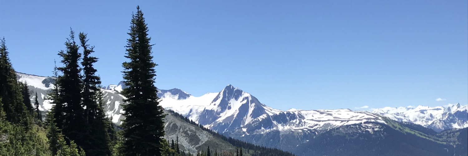 cdvell's profile banner image