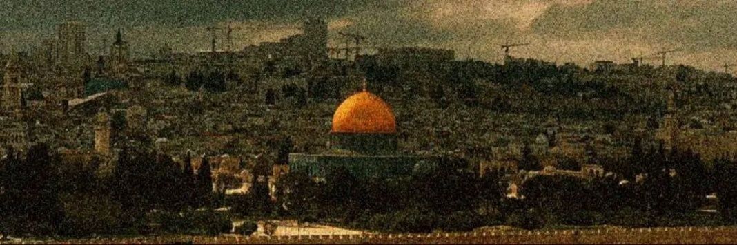 أبو الحسن banner