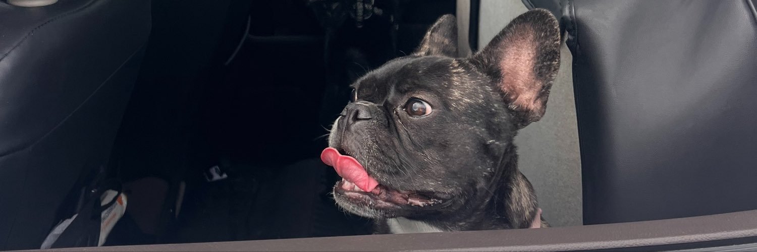 __BsX__'s profile banner image