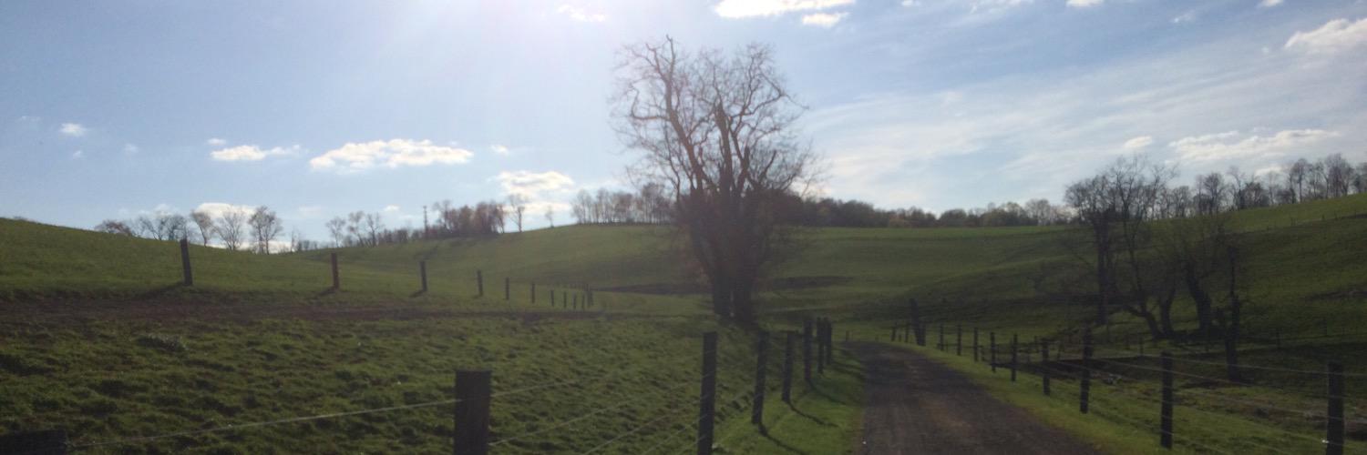 WyattLash's profile banner image