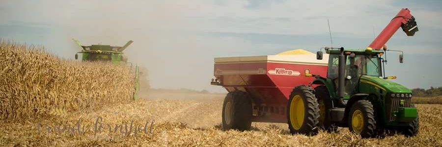 montgomerykw's profile banner image