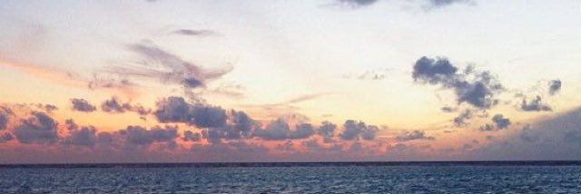 Romi Saucedo🌻 banner