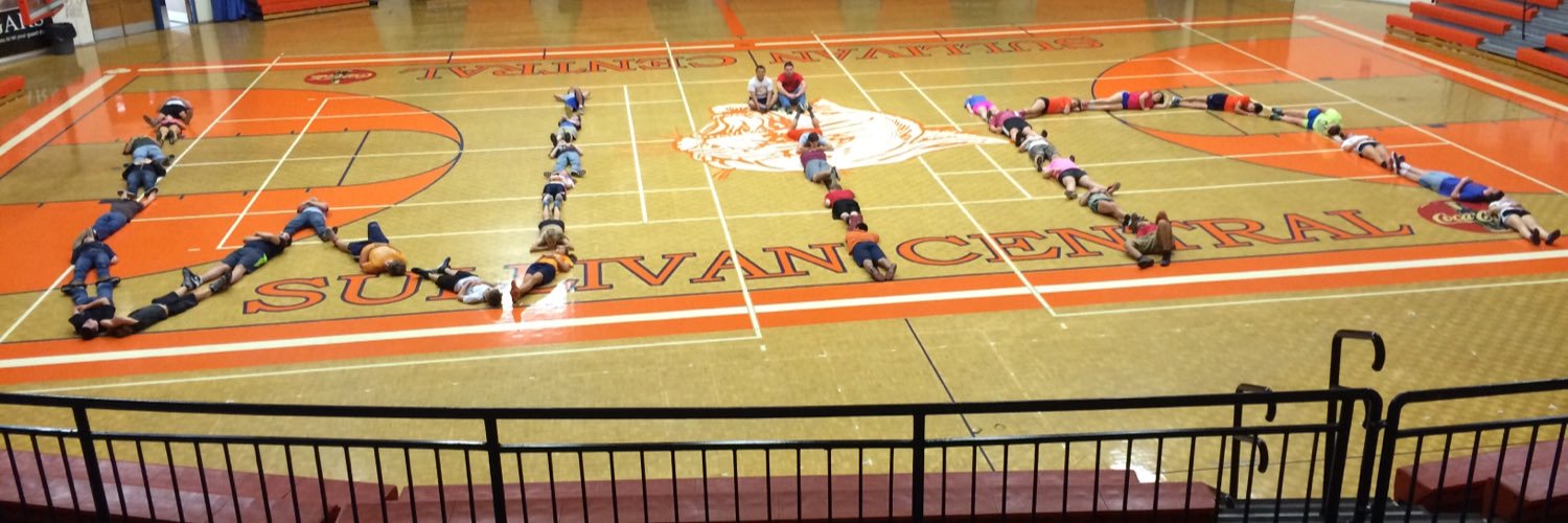 Cougar Volleyball banner