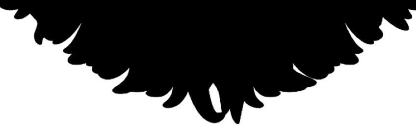 blackbeardroast's profile banner image