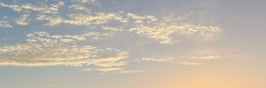 mariegoingnuts's profile banner image