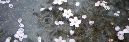 jasmineb3113's profile banner image