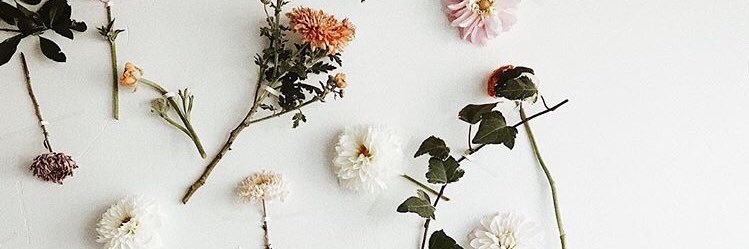 ClaireMalak's profile banner image