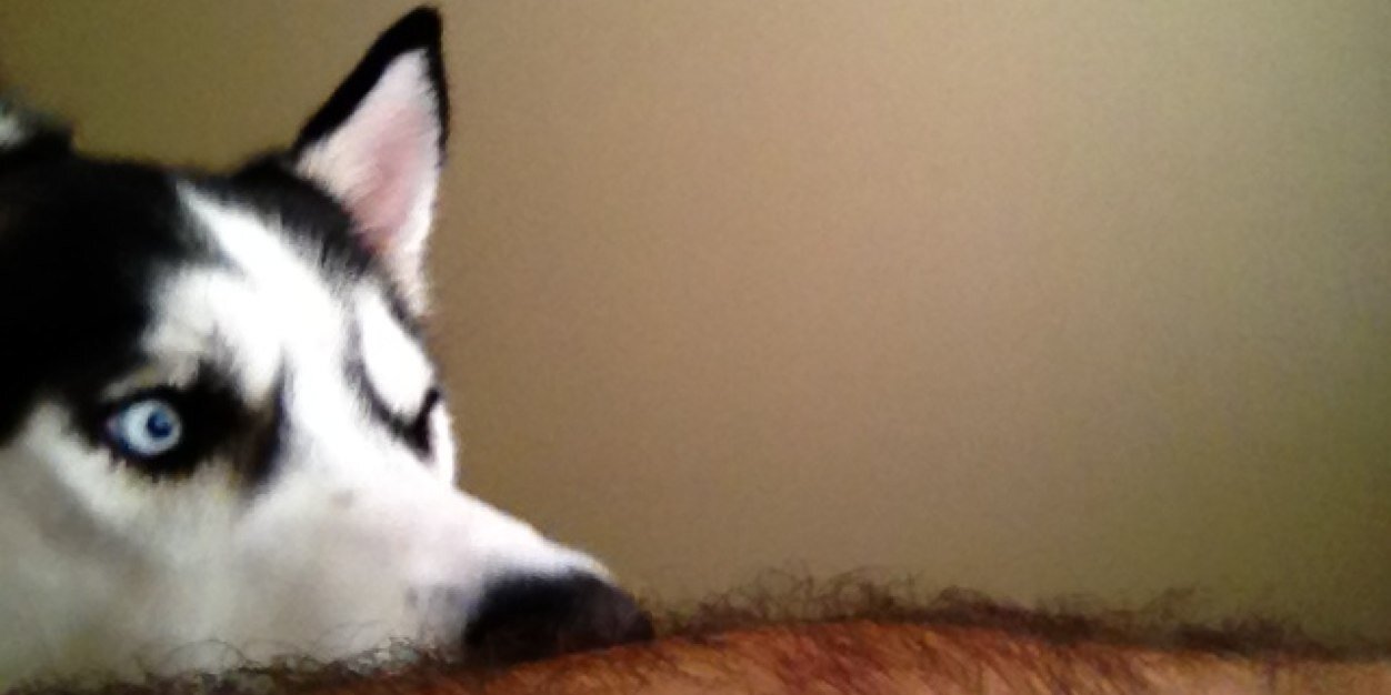 billyq69's profile banner image