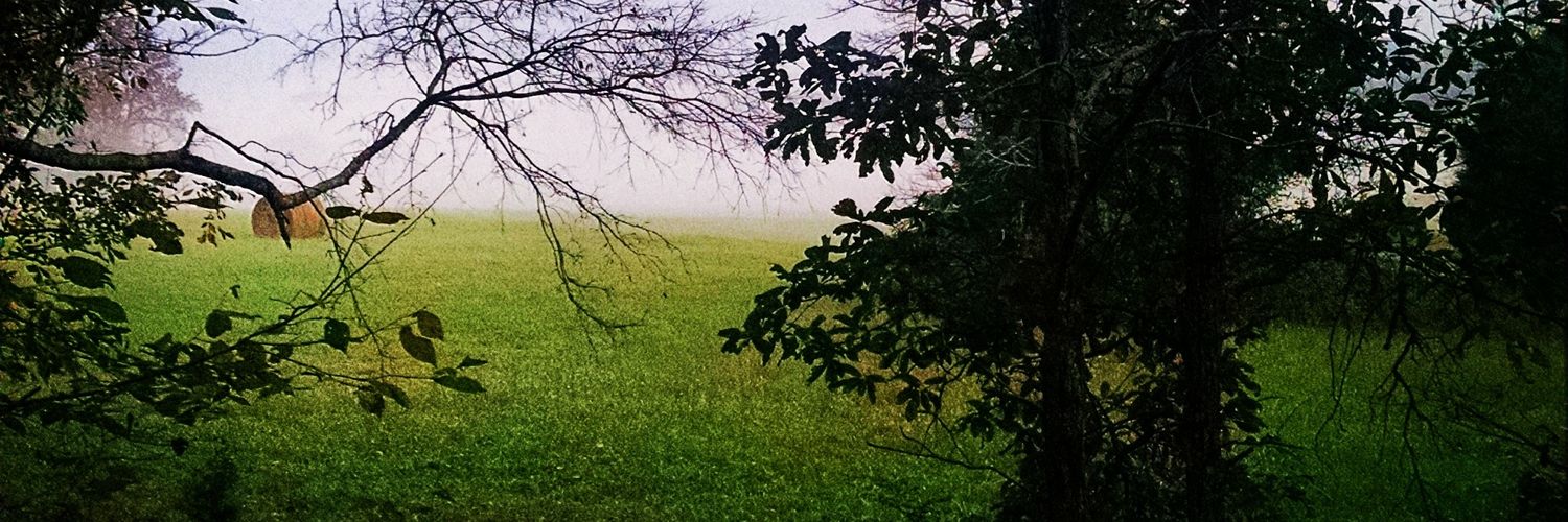 Casey21_25's profile banner image