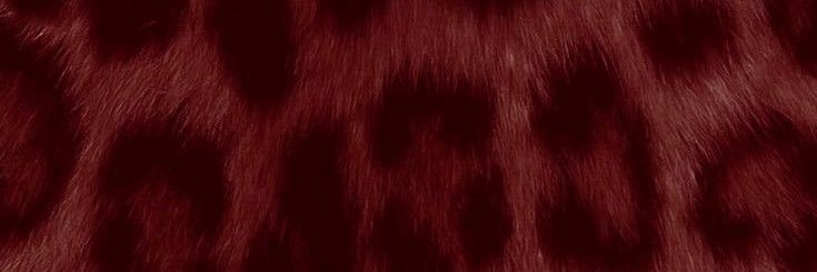 emmorenae's profile banner image