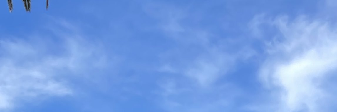 Tesssanch's profile banner image