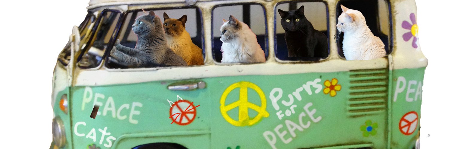 furballcats's profile banner image
