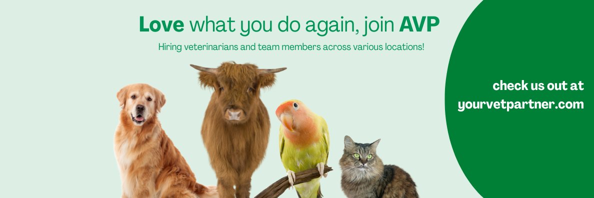 Dzmitry Miranovich banner