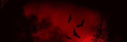 iuri_dracul's profile banner image