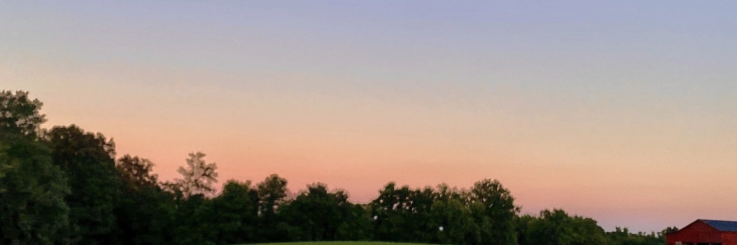 hollyanna08's profile banner image