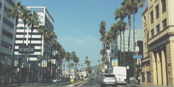 Lexie_Dings's profile banner image