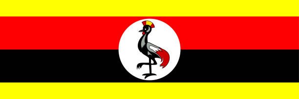 LwangaBenjamin's profile banner image