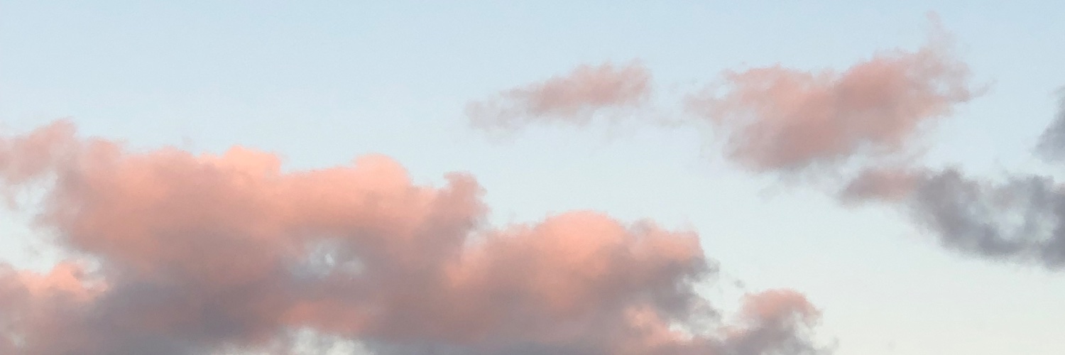 hailujj's profile banner image