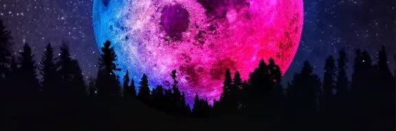 obeyshanta's profile banner image