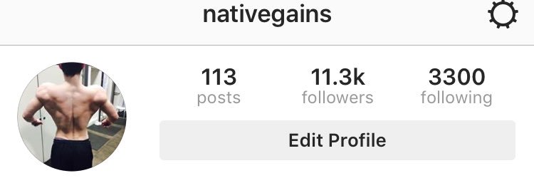 Native_Gains's profile banner image