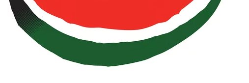Mubbashir Rizvi banner