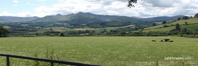 PackforWales's profile banner image
