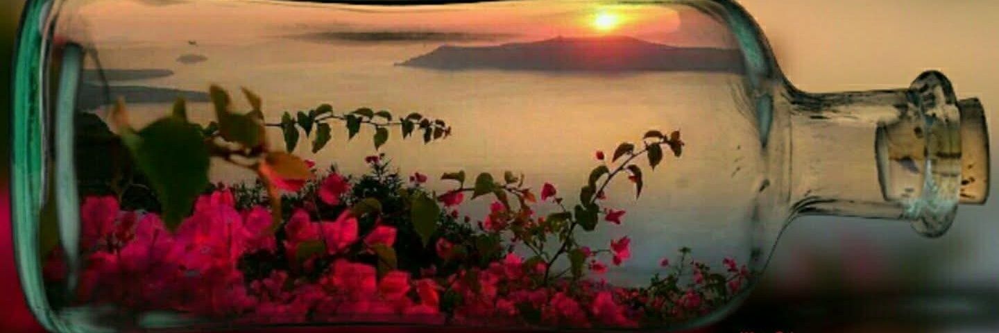 Electra ๑✿.๑¯`·❥🚫DM banner