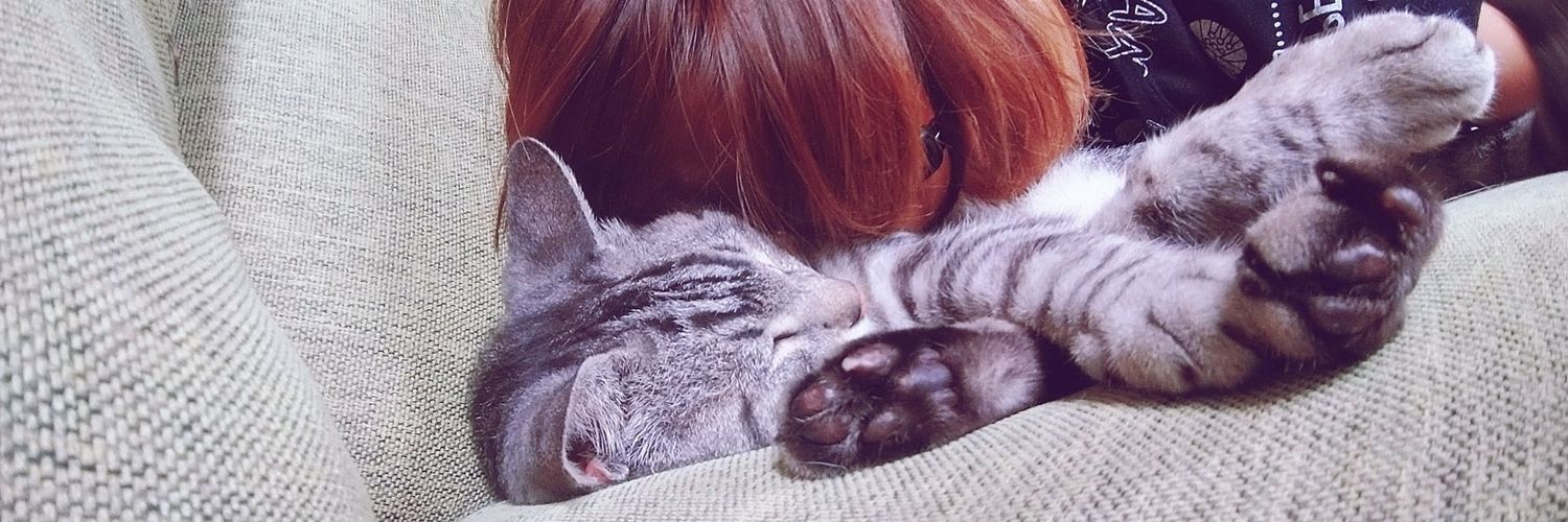 nyansuke66's profile banner image