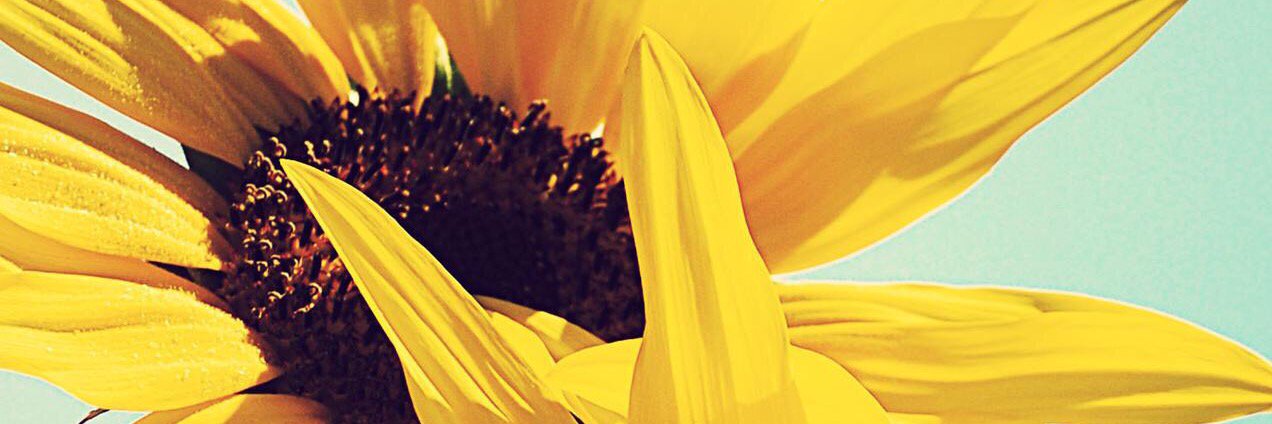 smashtastic85's profile banner image