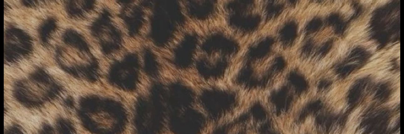 ThatNewB_tch's profile banner image