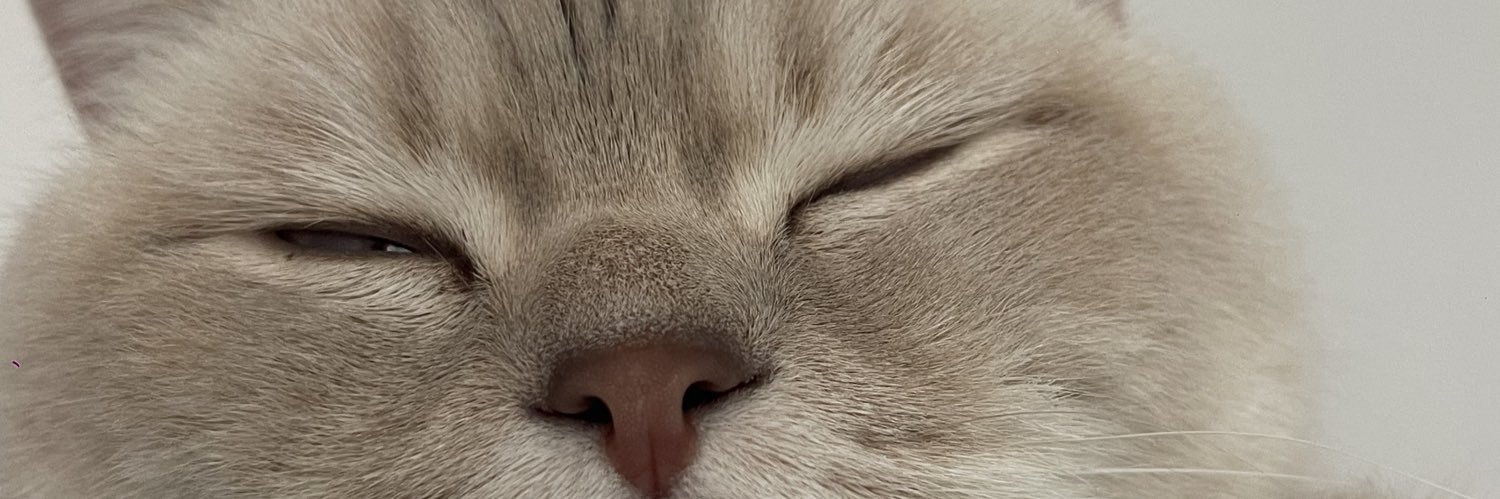 CloverYonca1's profile banner image