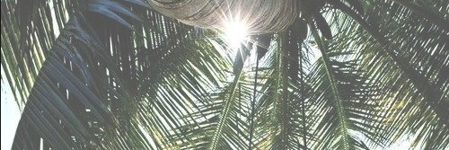 LucySandiga's profile banner image