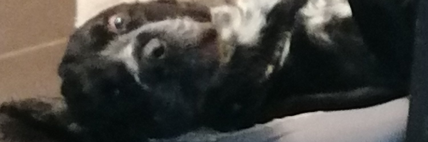 LucasMass0n's profile banner image