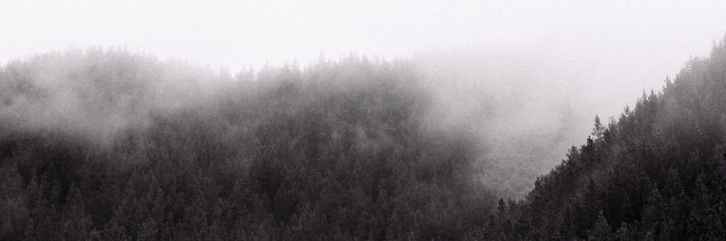 EdvardTihonenko's profile banner image