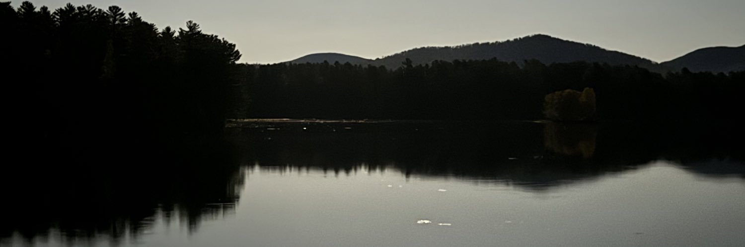 marymudhen's profile banner image