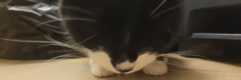 erinbeboberry's profile banner image