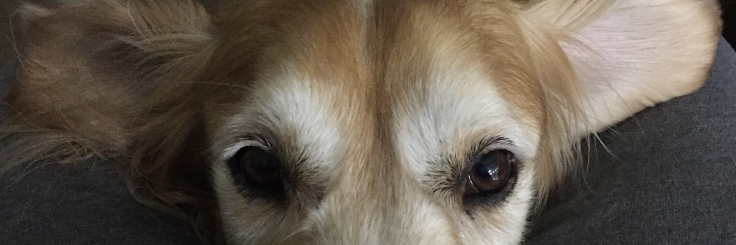 MrDanJenkins's profile banner image