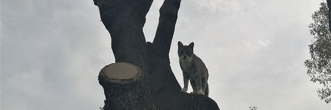 andreasbaawer's profile banner image