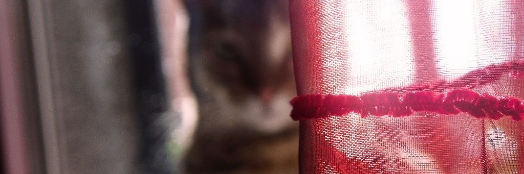 6thEditor's profile banner image