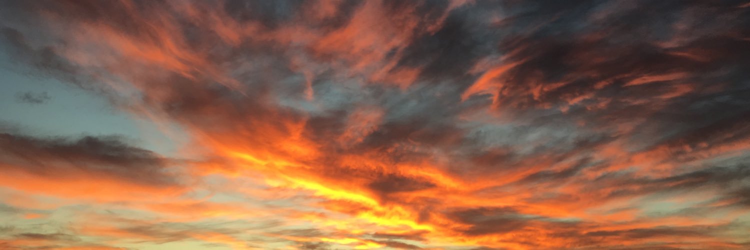 amandaosborn_'s profile banner image