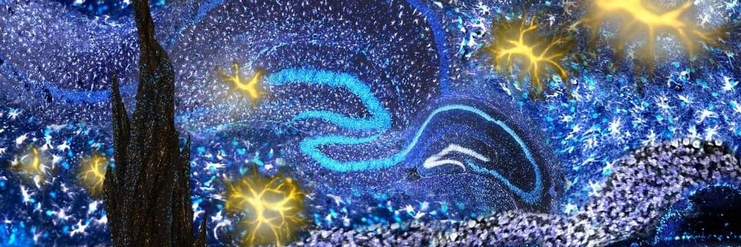 Neuro_Andy's profile banner image