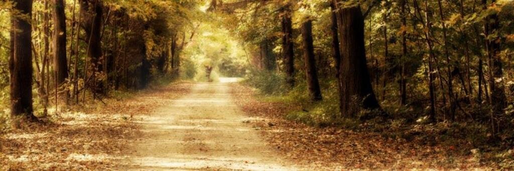 formerfoster's profile banner image